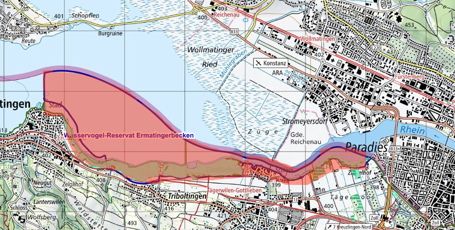 Naturschutzzone Ermatinger Becken
